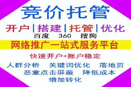 专业SEM代运营公司案例分析